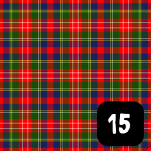 Load image into Gallery viewer, Burns Night Tartan Slots
