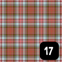 Load image into Gallery viewer, Burns Night Tartan Slots
