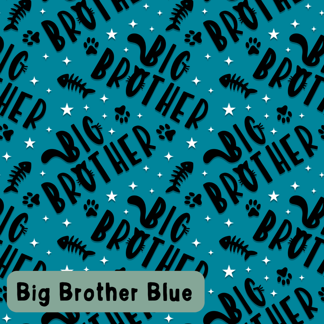 Big Brother Blue