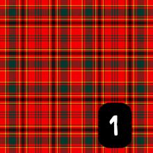 Load image into Gallery viewer, Burns Night Tartan Slots
