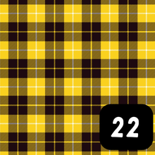 Load image into Gallery viewer, Burns Night Tartan Slots
