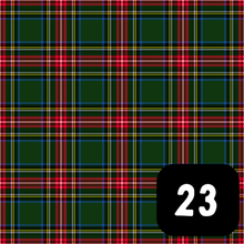 Load image into Gallery viewer, Burns Night Tartan Slots
