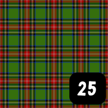 Load image into Gallery viewer, Burns Night Tartan Slots
