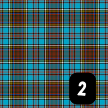 Load image into Gallery viewer, Burns Night Tartan Slots
