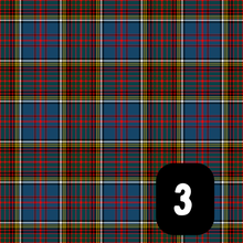 Load image into Gallery viewer, Burns Night Tartan Slots
