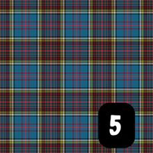 Load image into Gallery viewer, Burns Night Tartan Slots
