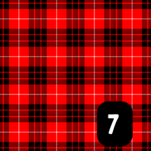 Load image into Gallery viewer, Burns Night Tartan Slots
