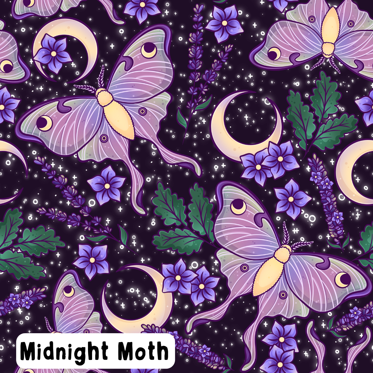 Midnight Moth