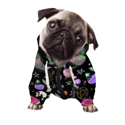 Dog Coats & Hoodies