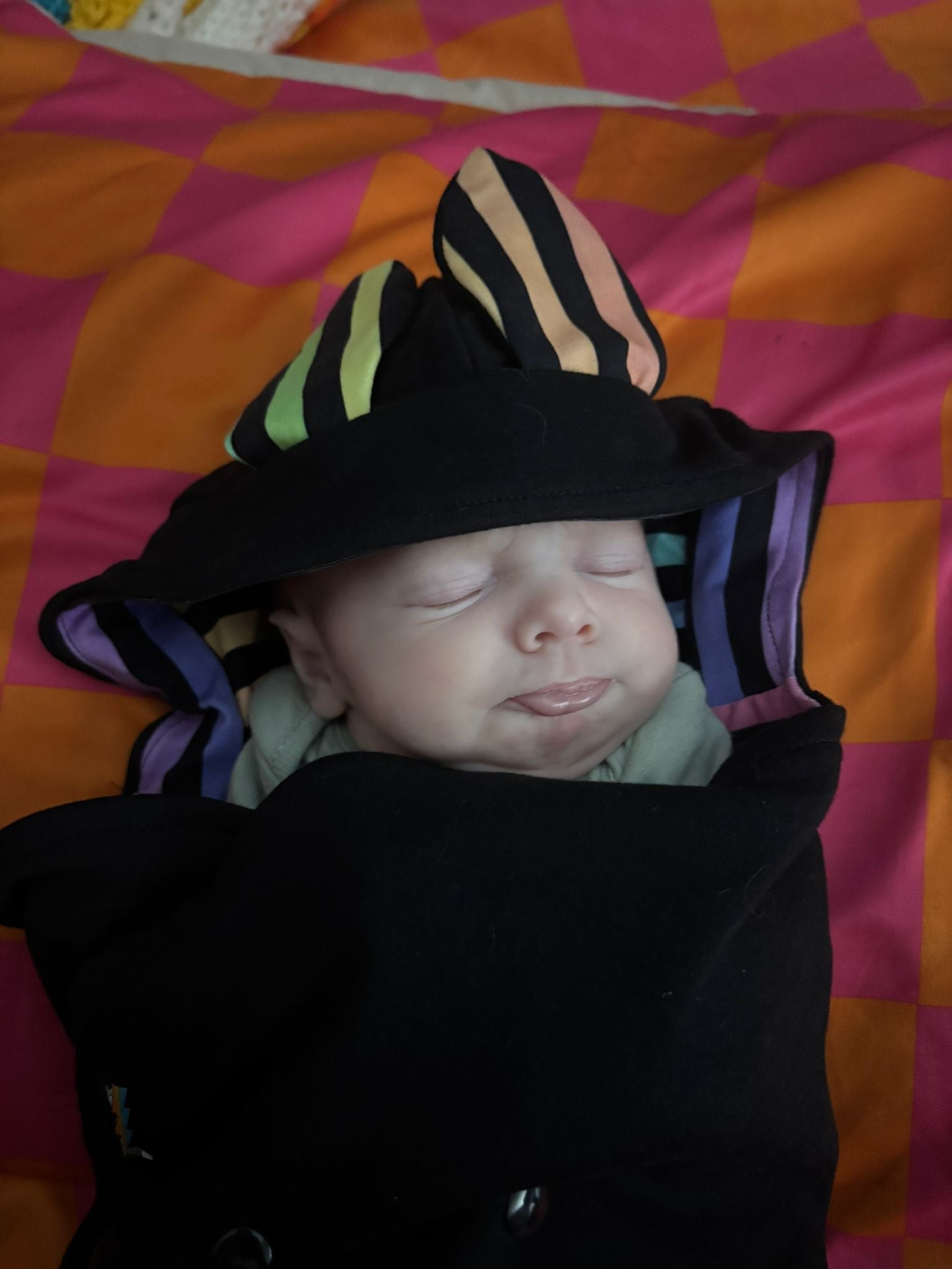 Bat Swaddle