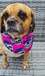 Reversible Dog bandanas