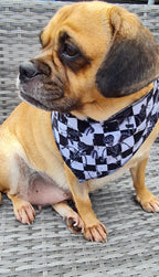 Reversible Dog bandanas